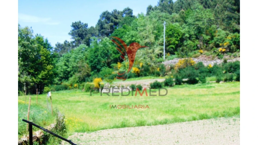 Terreno para Venda em Parada de Cunhos Foto 9