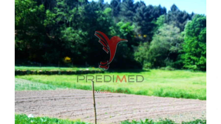 Terreno para Venda em Parada de Cunhos Foto 13