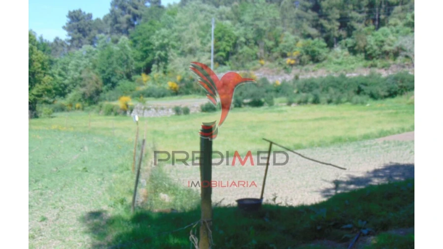 Terreno para Venda em Parada de Cunhos Foto 7