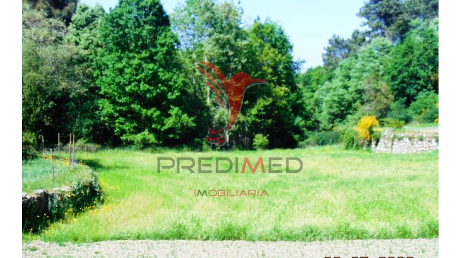 Terreno para Venda em Parada de Cunhos Foto 20