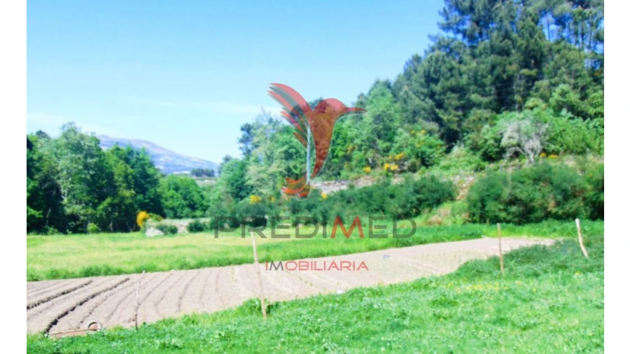 Terreno para Venda em Parada de Cunhos Foto 12