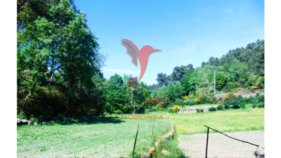 Terreno para Venda em Parada de Cunhos Foto 8