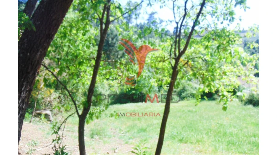 Terreno para Venda em Parada de Cunhos Foto 5