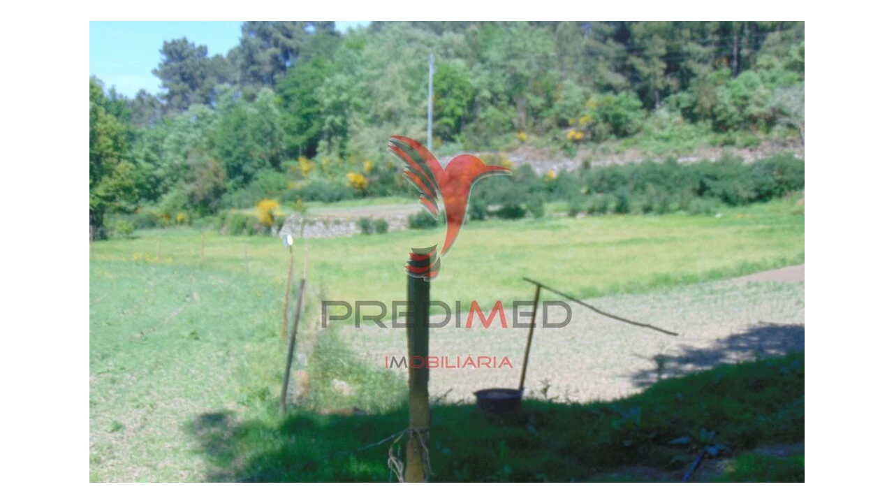 Terreno para Venda em Parada de Cunhos Foto 7
