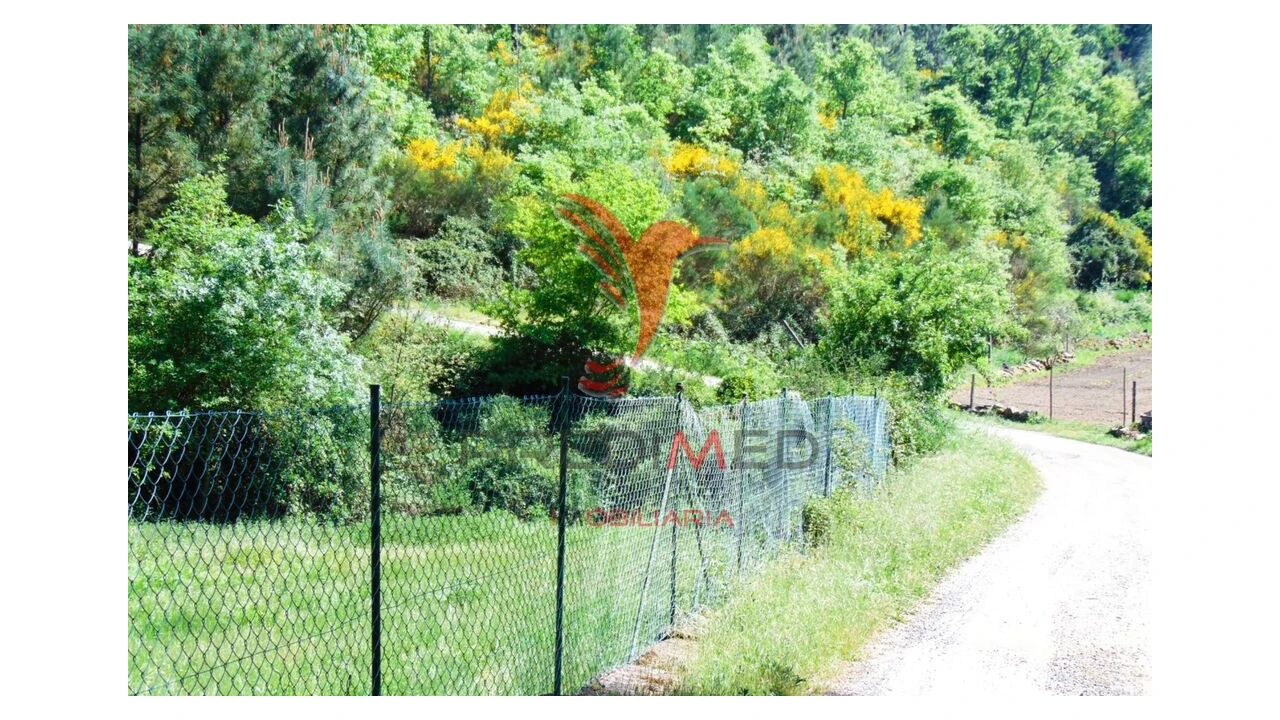 Terreno para Venda em Parada de Cunhos Foto 19