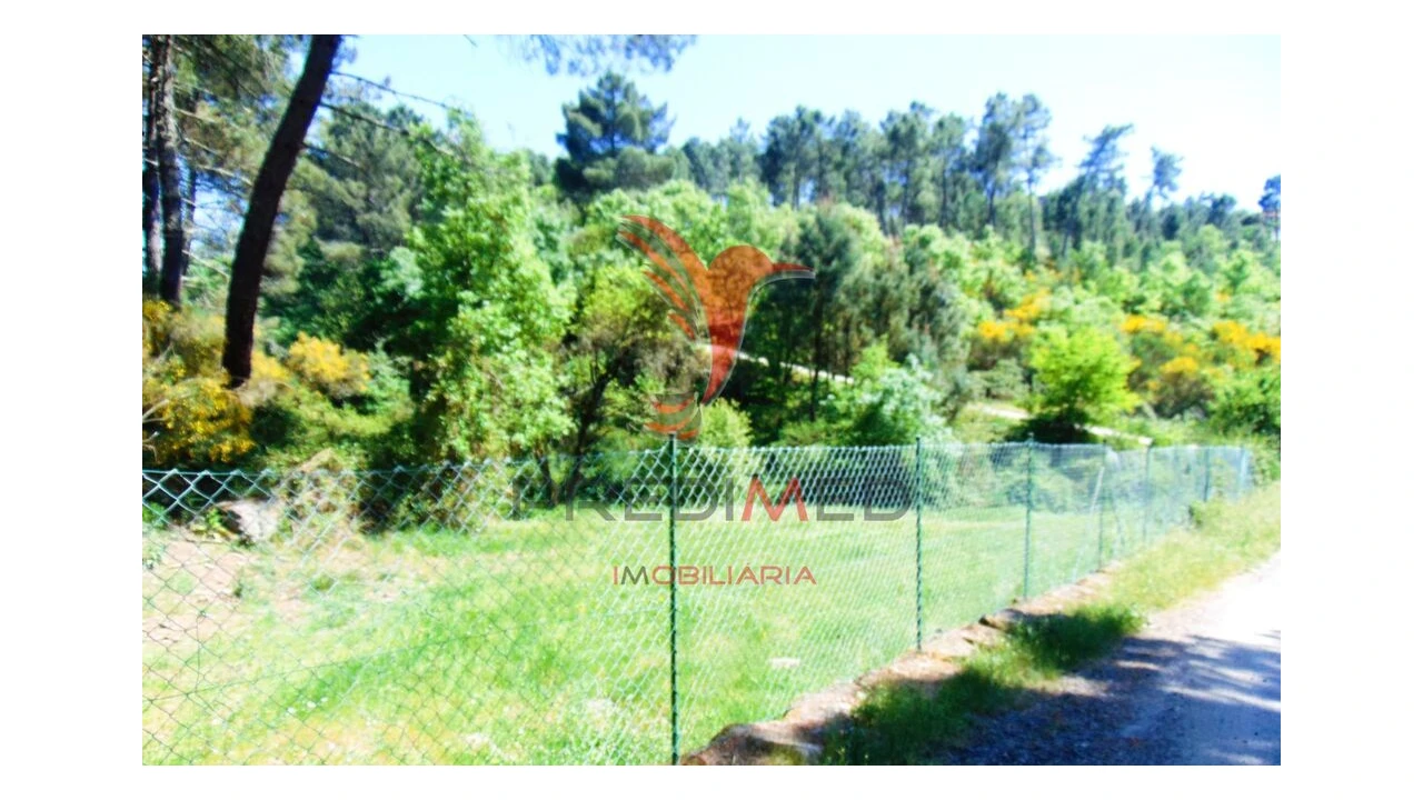 Terreno para Venda em Parada de Cunhos Foto 11