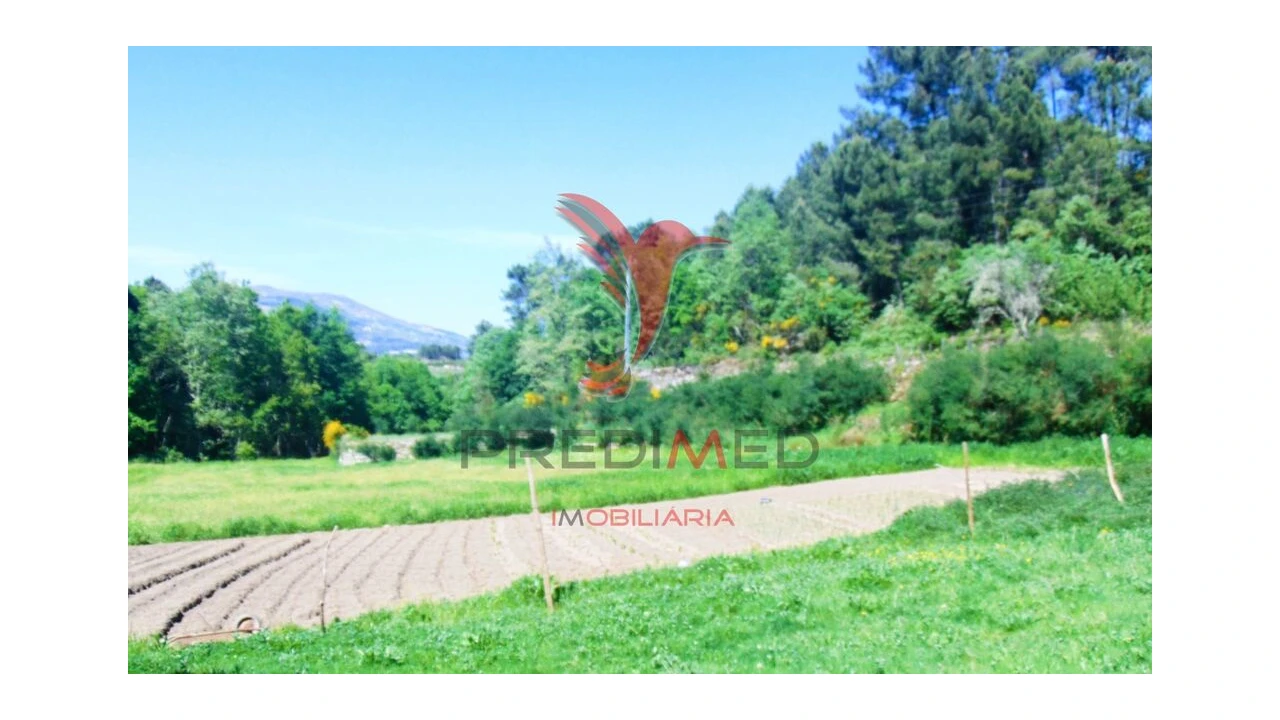Terreno para Venda em Parada de Cunhos Foto 12