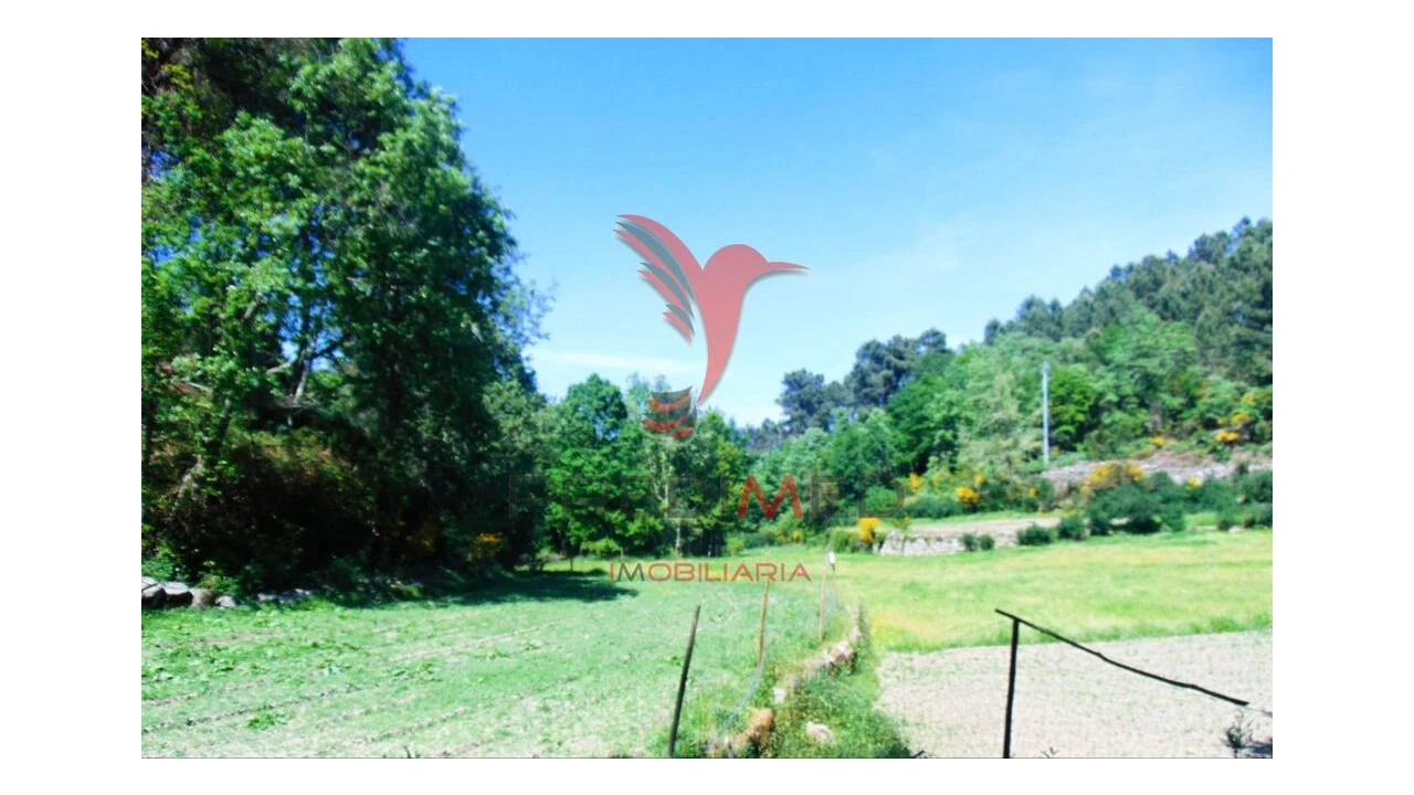 Terreno para Venda em Parada de Cunhos Foto 8