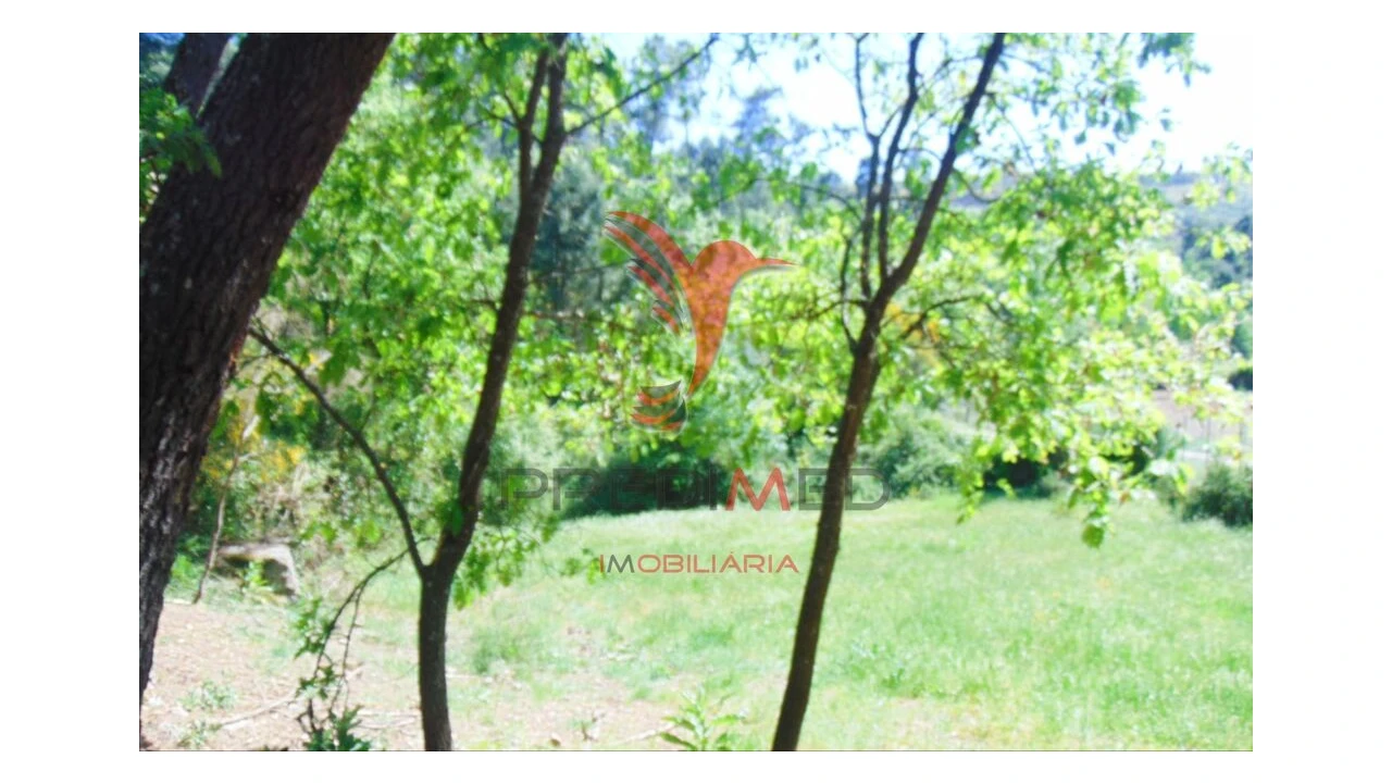 Terreno para Venda em Parada de Cunhos Foto 5