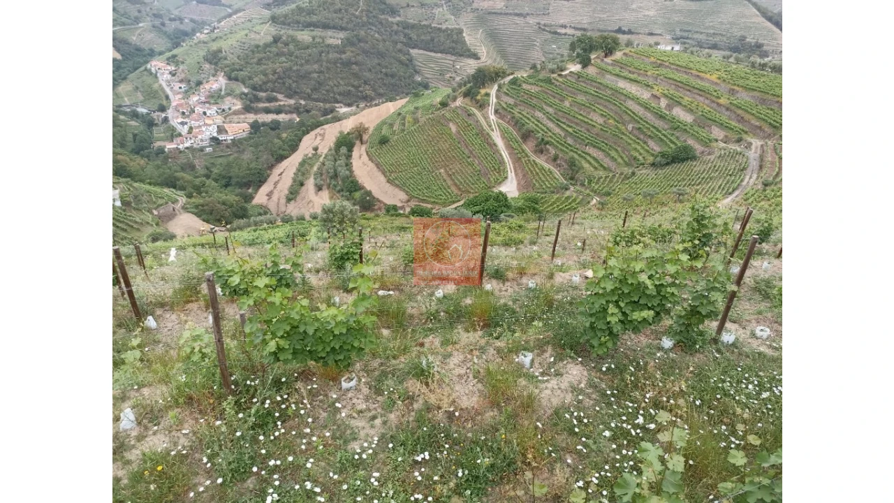 Quinta T1 para Venda em Lobrigos (São Miguel e São João Baptista) e Sanhoane Foto 6
