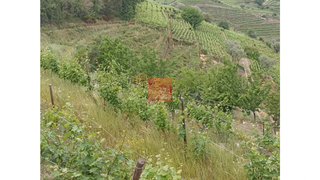Quinta T1 para Venda em Lobrigos (São Miguel e São João Baptista) e Sanhoane Foto 3