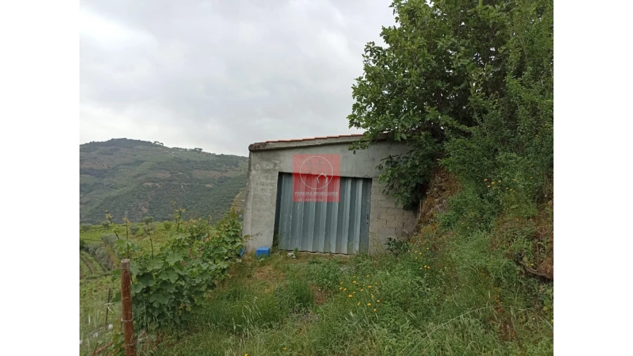 Quinta T1 para Venda em Lobrigos (São Miguel e São João Baptista) e Sanhoane Foto 7