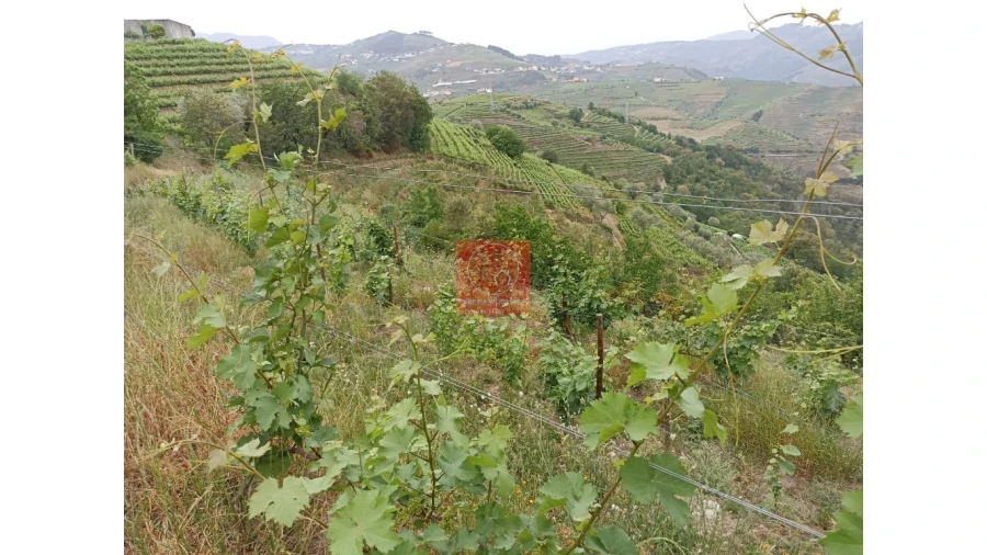 Quinta T1 para Venda em Lobrigos (São Miguel e São João Baptista) e Sanhoane Foto 8