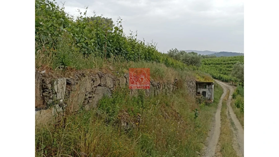 Quinta T1 para Venda em Lobrigos (São Miguel e São João Baptista) e Sanhoane Foto 9