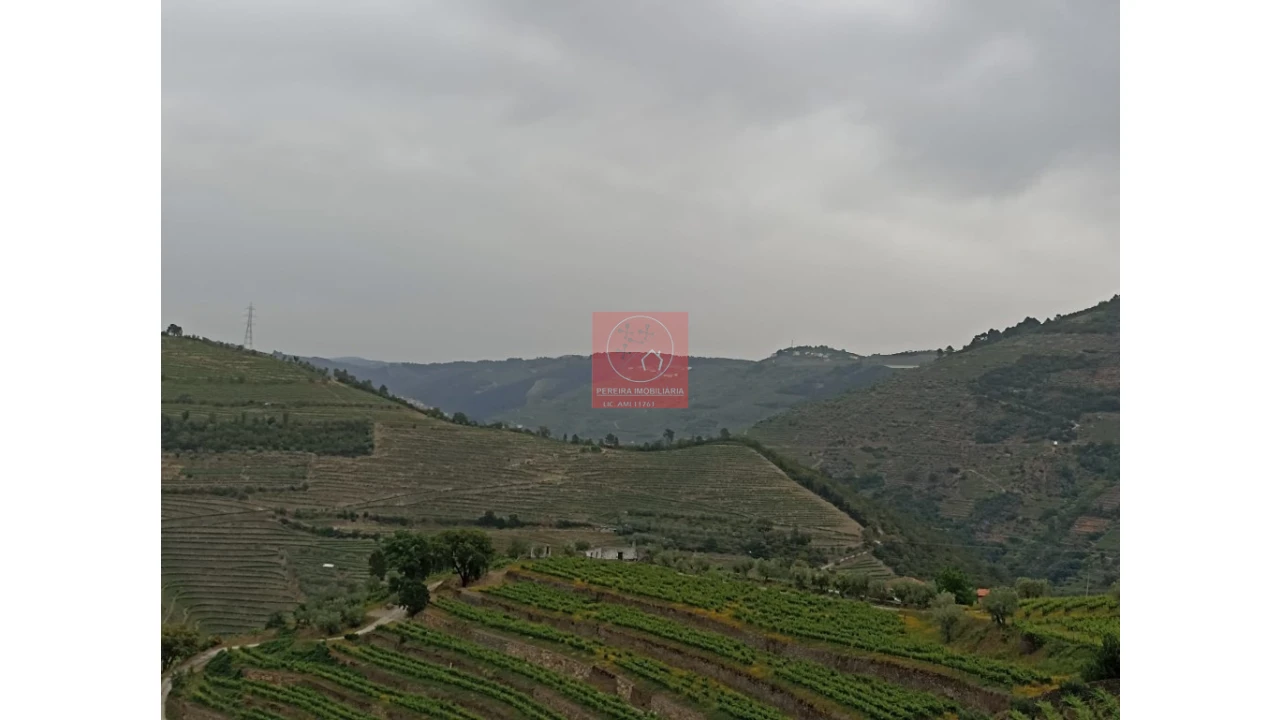 Quinta T1 para Venda em Lobrigos (São Miguel e São João Baptista) e Sanhoane Foto 1