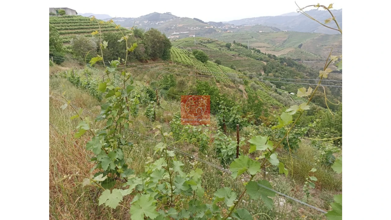 Quinta T1 para Venda em Lobrigos (São Miguel e São João Baptista) e Sanhoane Foto 8