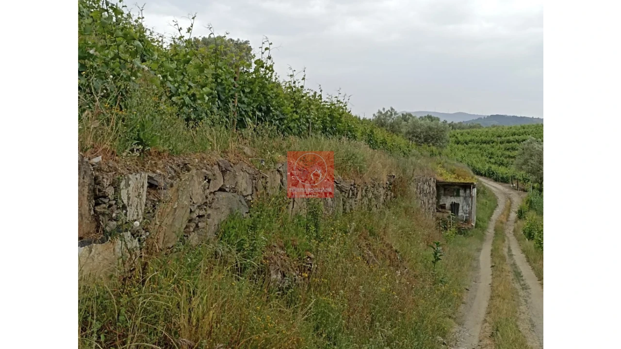 Quinta T1 para Venda em Lobrigos (São Miguel e São João Baptista) e Sanhoane Foto 9