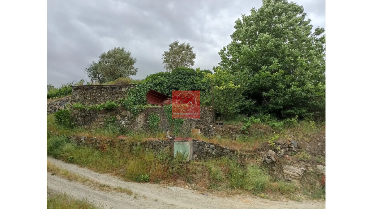 Quinta T1 para Venda em Lobrigos (São Miguel e São João Baptista) e Sanhoane Foto 12