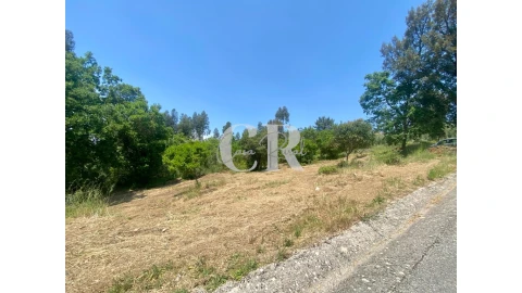 Terreno para Venda em Figueiró dos Vinhos e Bairradas