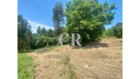 Terreno para Venda em Figueiró dos Vinhos e Bairradas