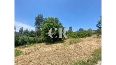 Terreno para Venda em Figueiró dos Vinhos e Bairradas
