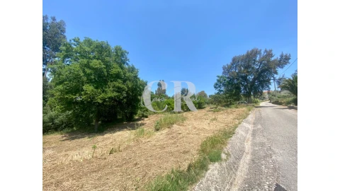Terreno para Venda em Figueiró dos Vinhos e Bairradas