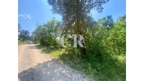 Terreno para Venda em Figueiró dos Vinhos e Bairradas