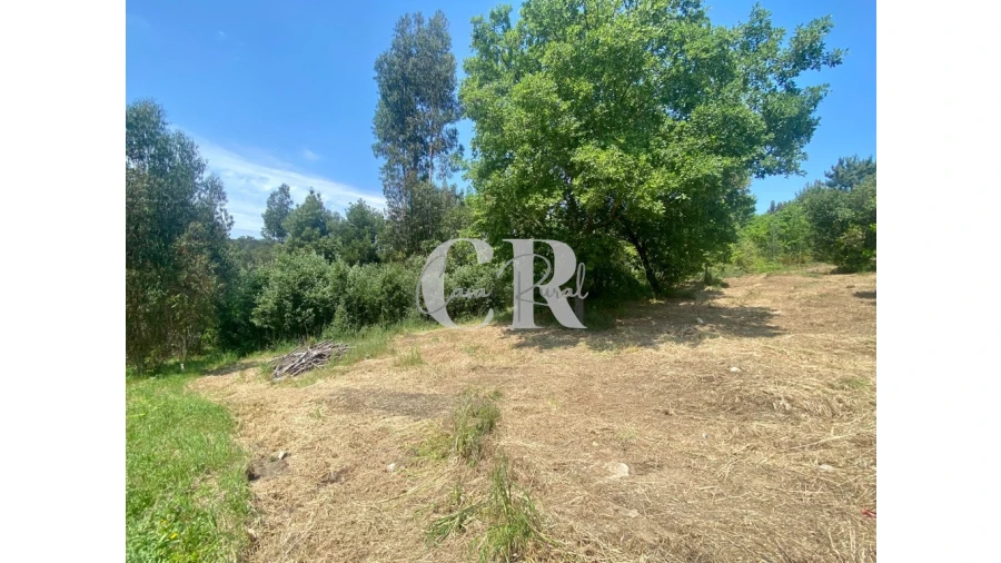 Terreno para Venda em Figueiró dos Vinhos e Bairradas Foto 4