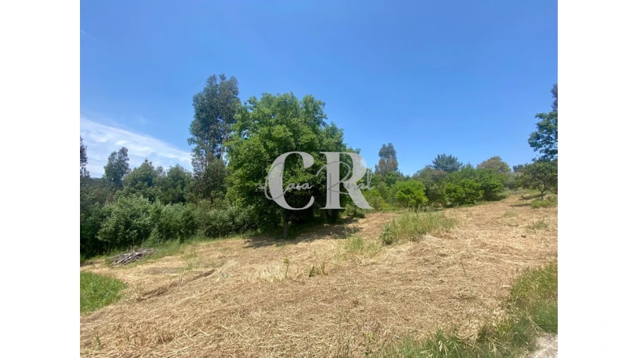 Terreno para Venda em Figueiró dos Vinhos e Bairradas Foto 6