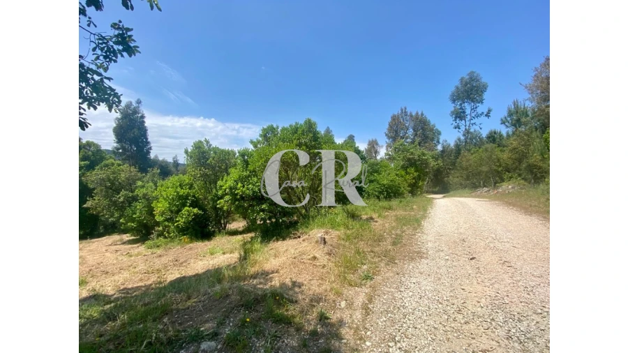Terreno para Venda em Figueiró dos Vinhos e Bairradas Foto 7