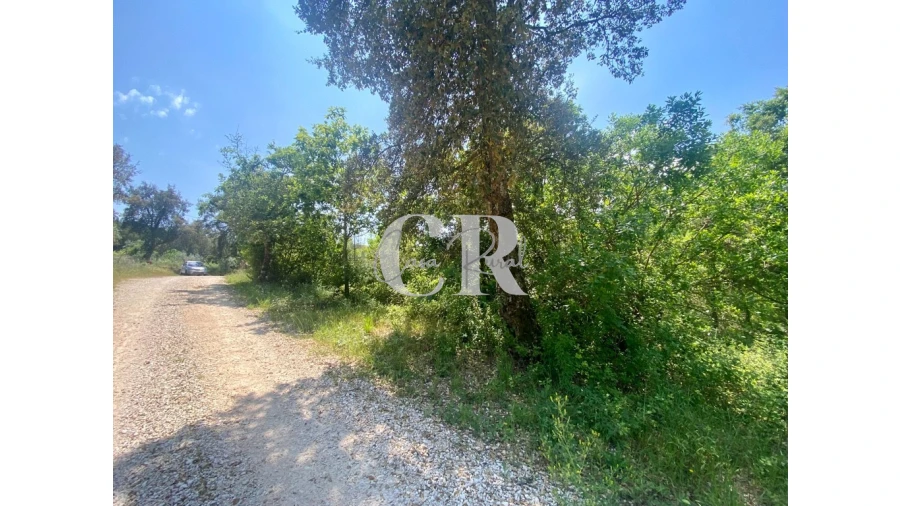 Terreno para Venda em Figueiró dos Vinhos e Bairradas Foto 8