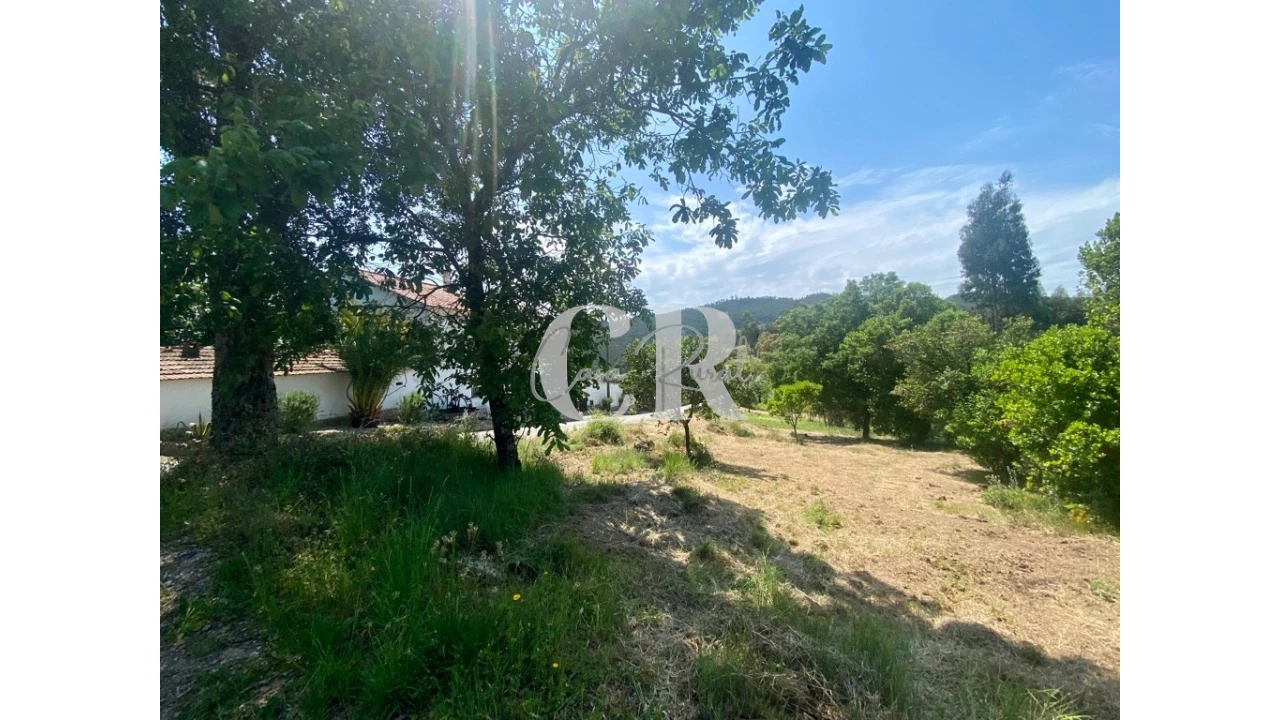 Terreno para Venda em Figueiró dos Vinhos e Bairradas Foto 1