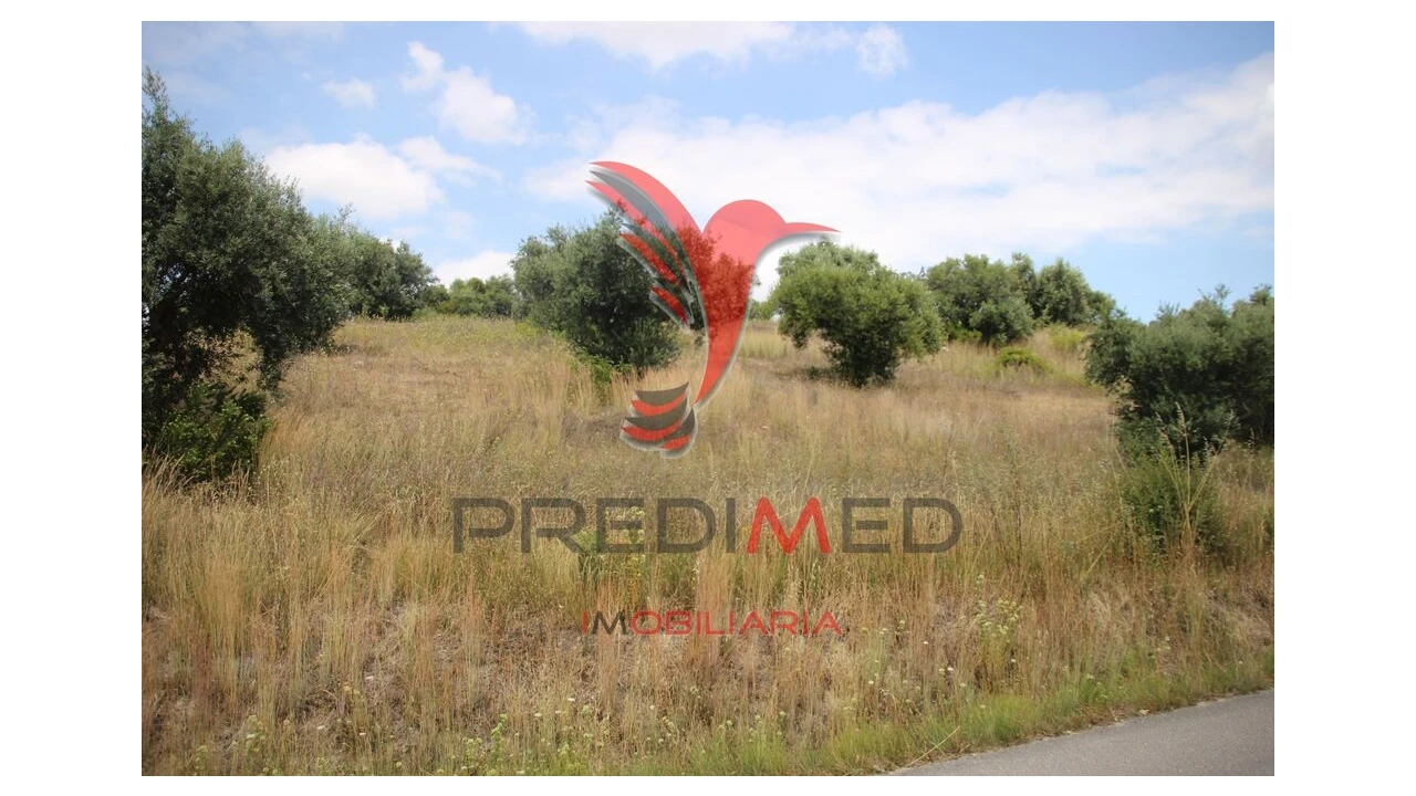 Terreno para Venda em Chancelaria Foto 6