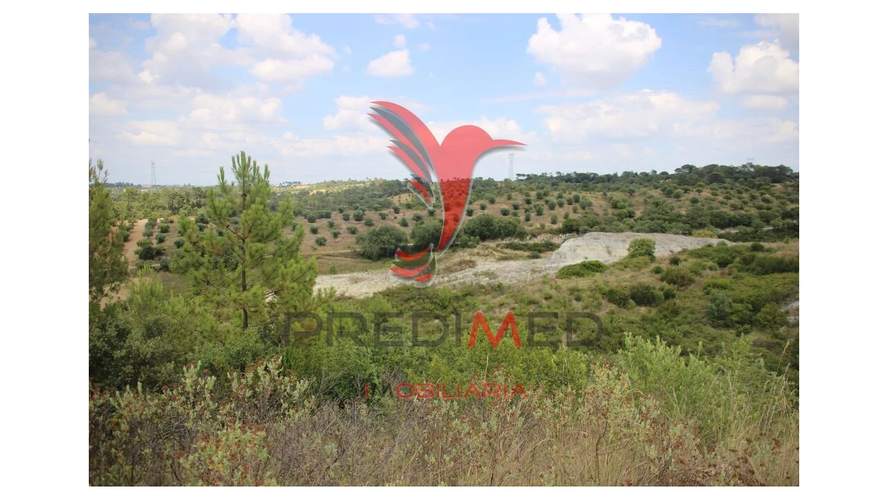 Terreno para Venda em Chancelaria Foto 15