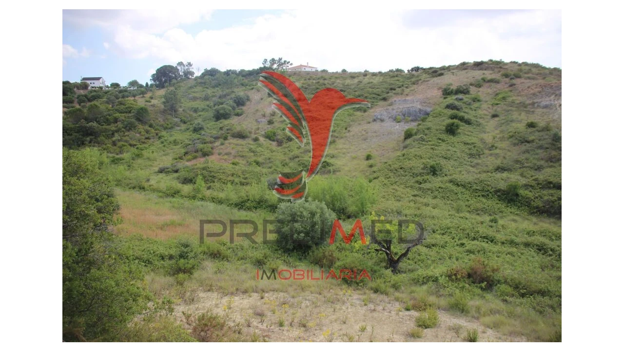 Terreno para Venda em Chancelaria Foto 12