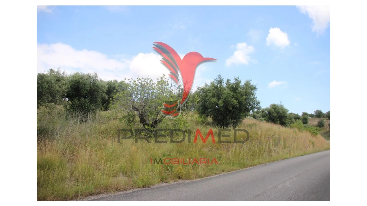 Terreno para Venda em Chancelaria Foto 8