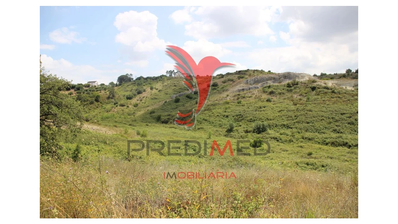 Terreno para Venda em Chancelaria Foto 2