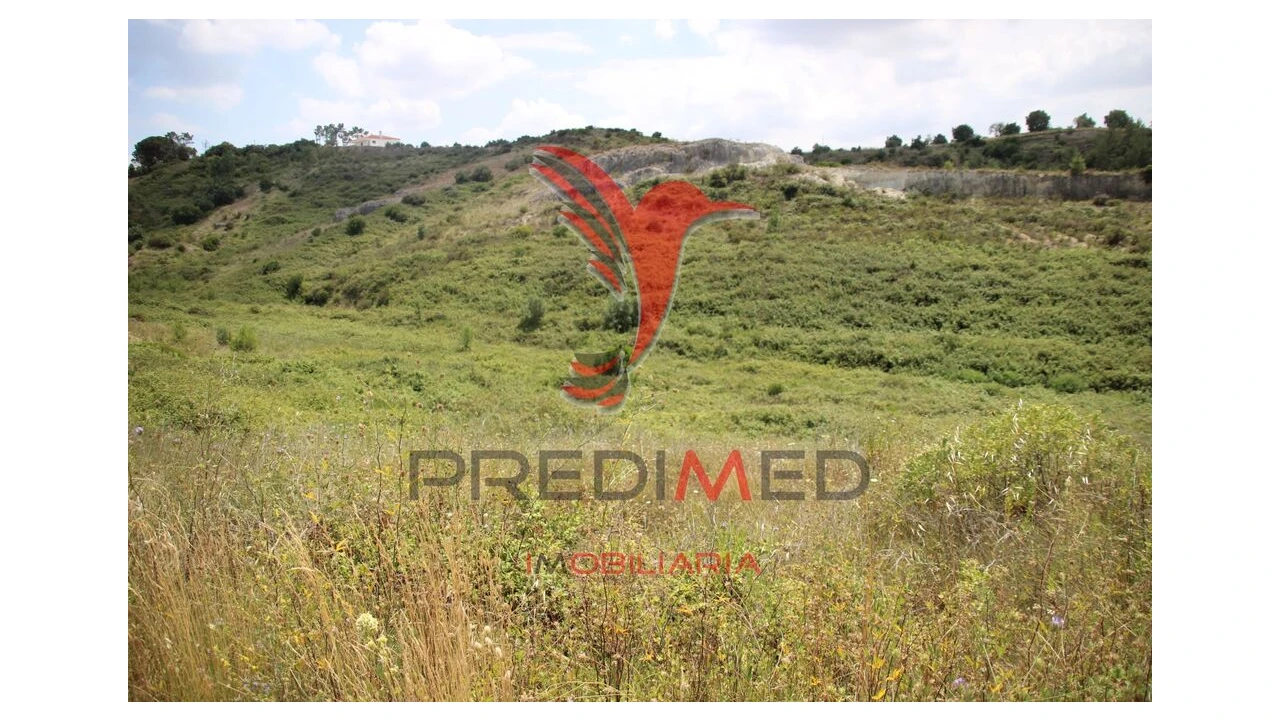 Terreno para Venda em Chancelaria Foto 3