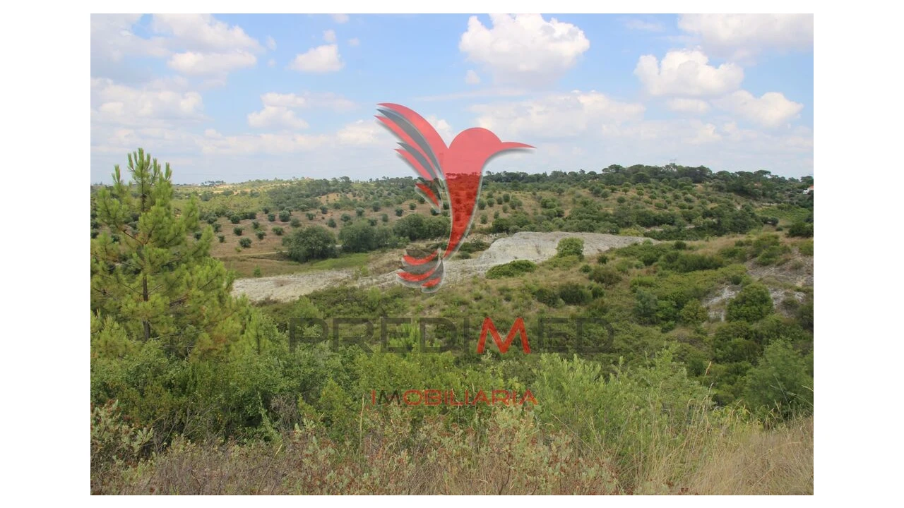 Terreno para Venda em Chancelaria Foto 13