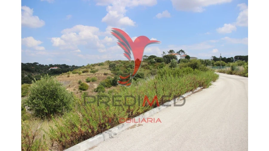 Terreno para Venda em Chancelaria Foto 17