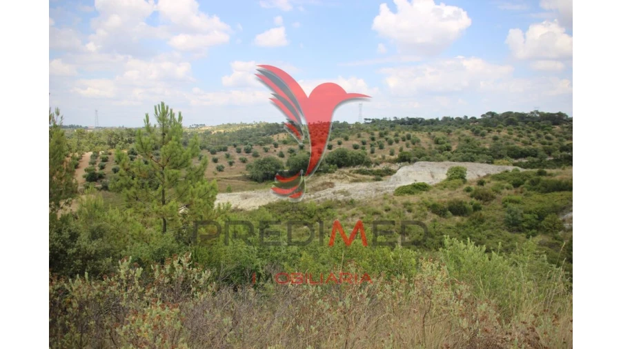 Terreno para Venda em Chancelaria Foto 15