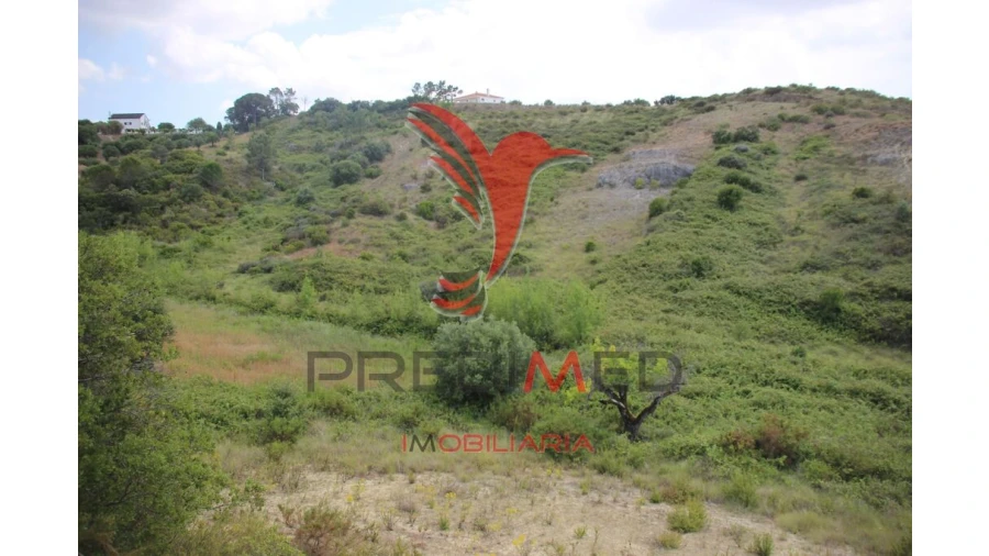 Terreno para Venda em Chancelaria Foto 12