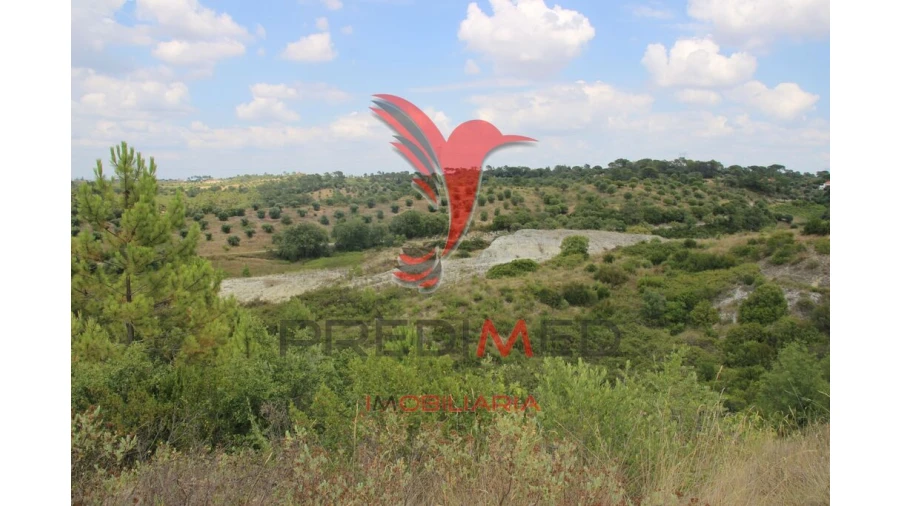 Terreno para Venda em Chancelaria Foto 13