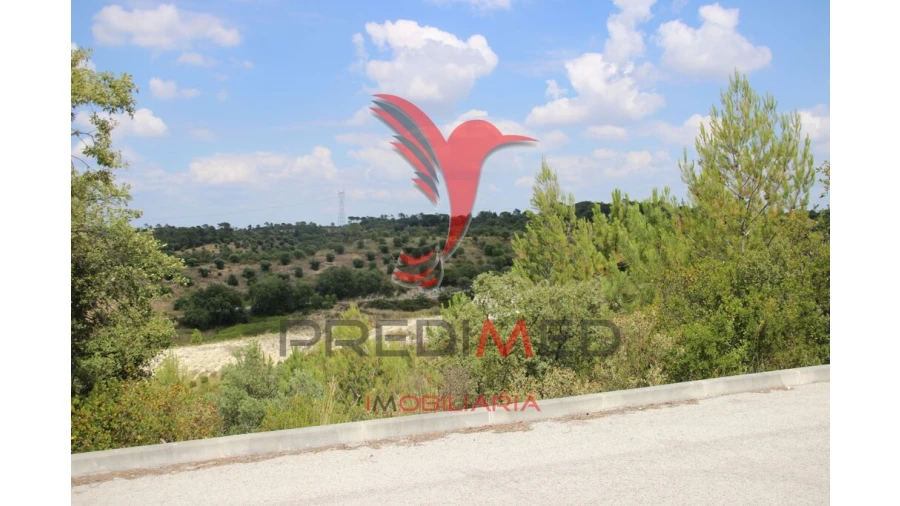 Terreno para Venda em Chancelaria Foto 16