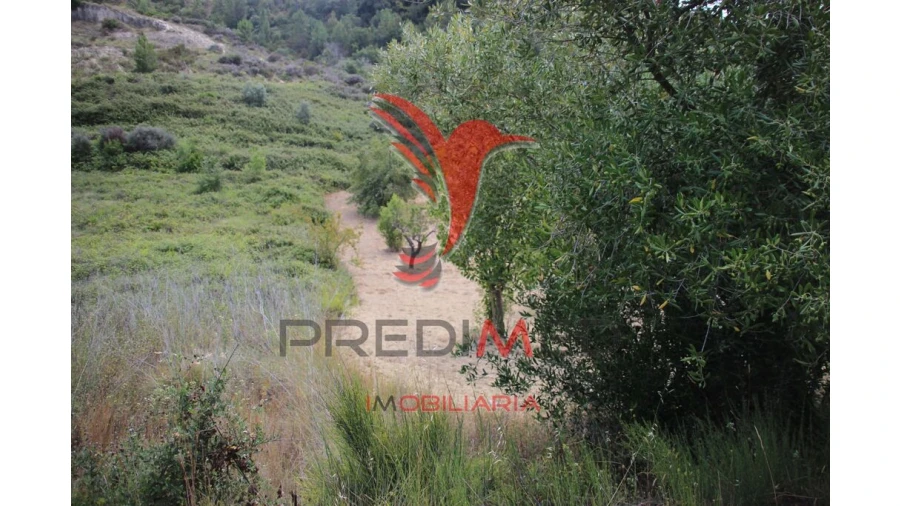 Terreno para Venda em Chancelaria Foto 9