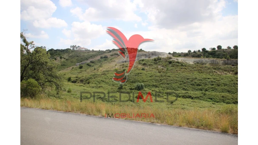 Terreno para Venda em Chancelaria Foto 5