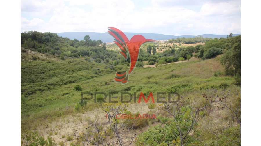 Terreno para Venda em Chancelaria Foto 11