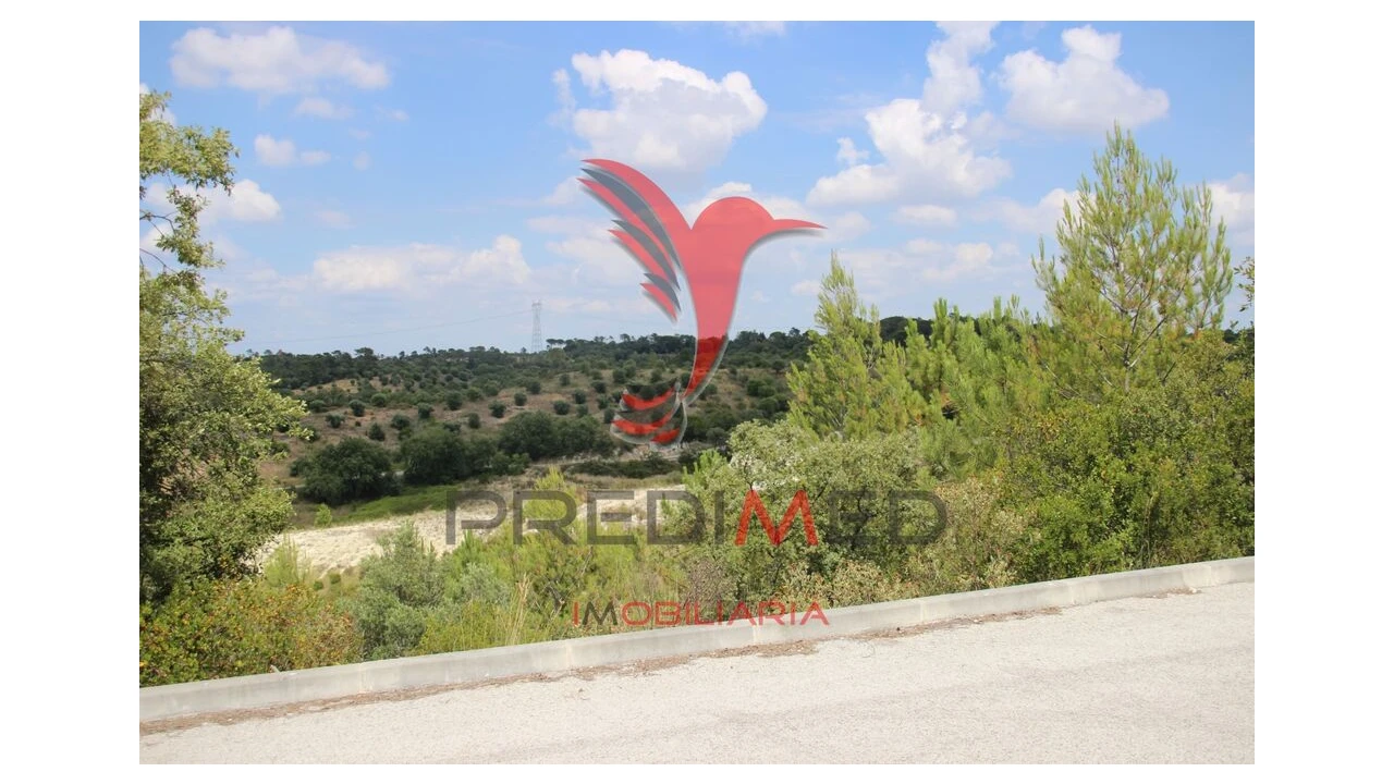 Terreno para Venda em Chancelaria Foto 16