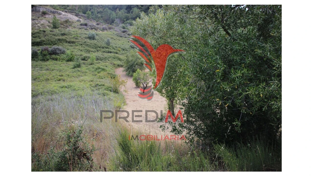 Terreno para Venda em Chancelaria Foto 9