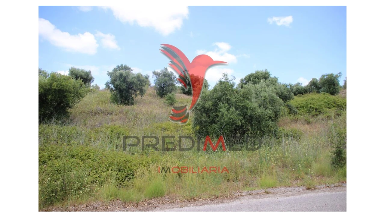 Terreno para Venda em Chancelaria Foto 10